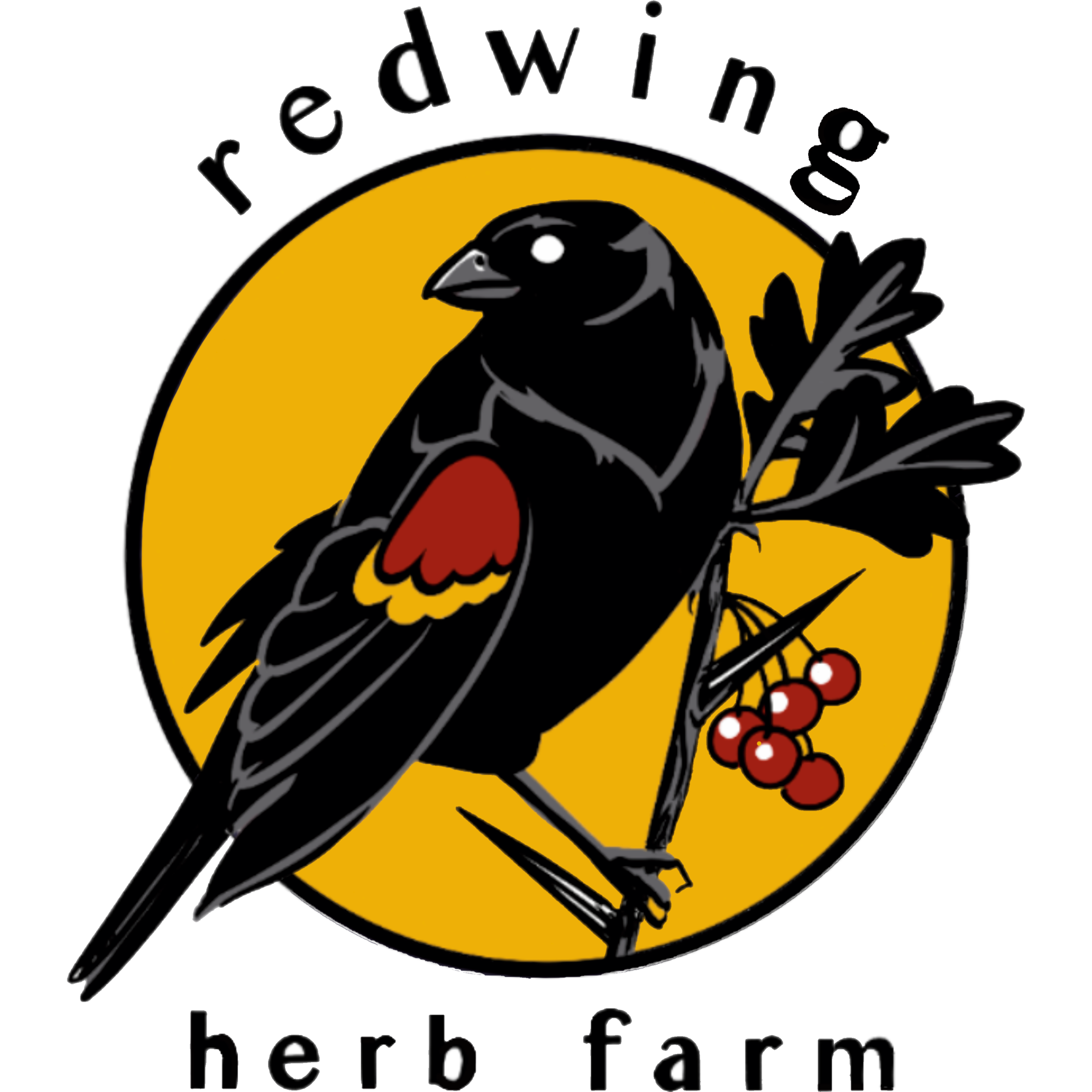 Redwing Spokane - zqnsonm